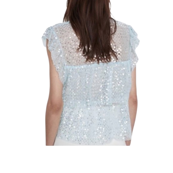 Zara Shimmering Translucent Ruffle Blouse Size M - Picture 3 of 5